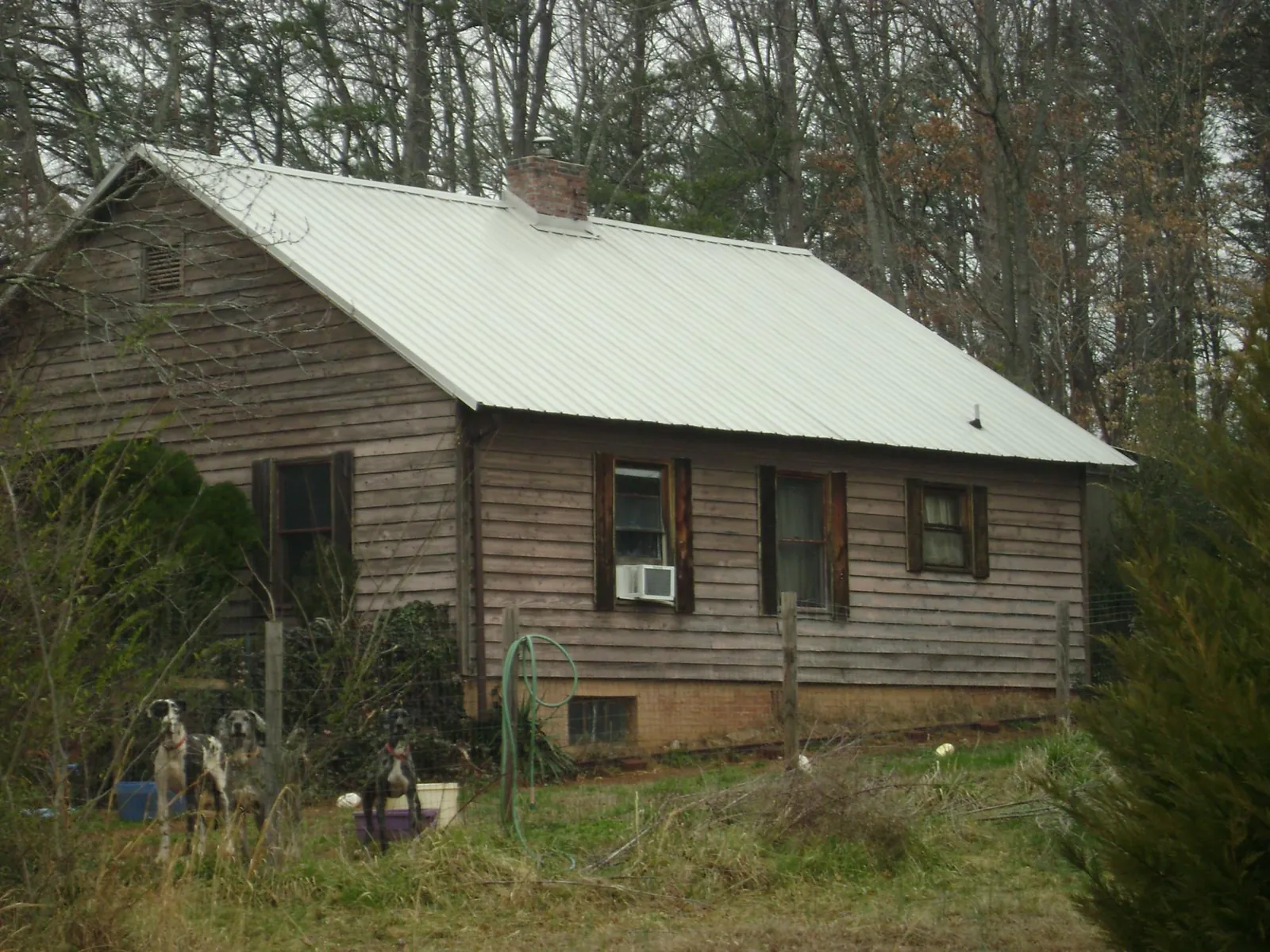White metal roof on an old wood sided farmhouse, from a Asphalt Shingle Roof Repair job in Las Animas